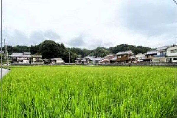 今治市朝倉